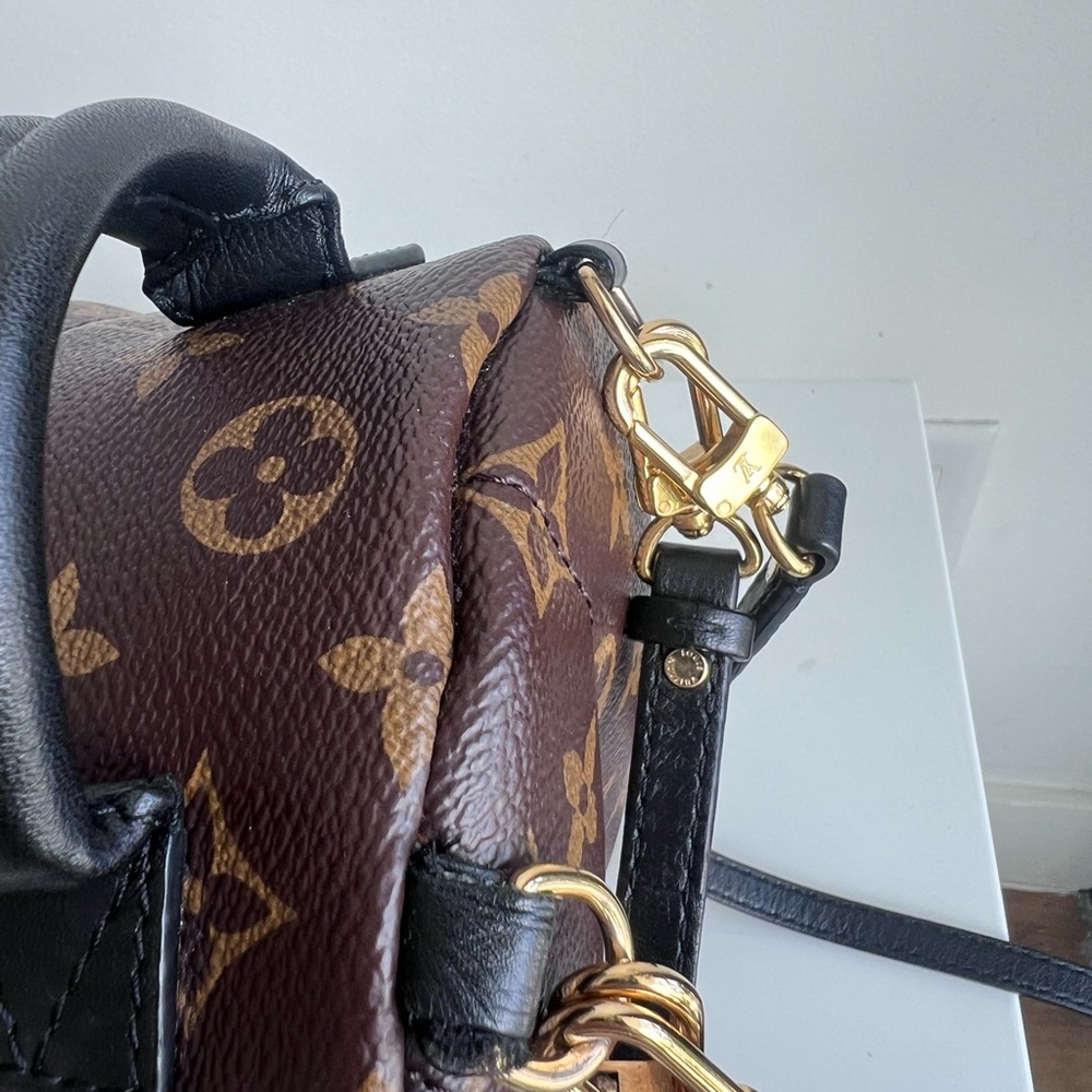 Louis Vuitton Palm Spring Mini Backpack - Picture 4 of 8